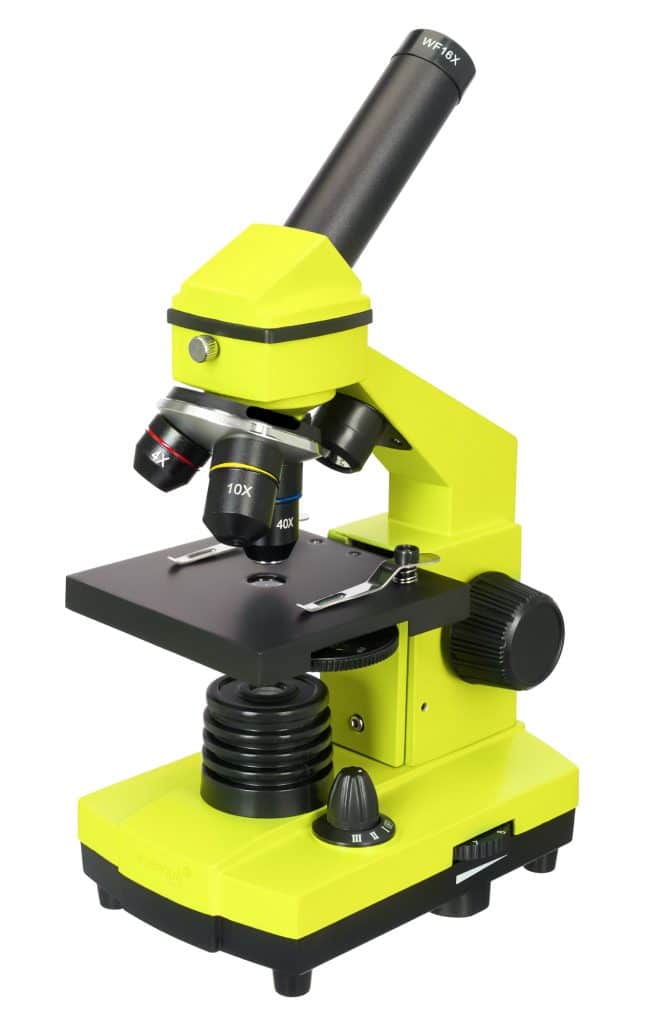 69094 levenhuk rainbow 2l plus lime 00