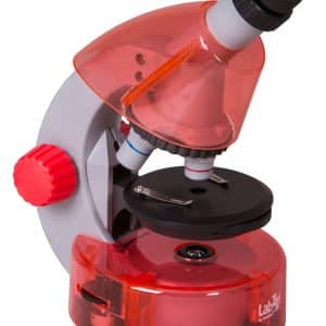 Microscopio Levenhuk LabZZ M101