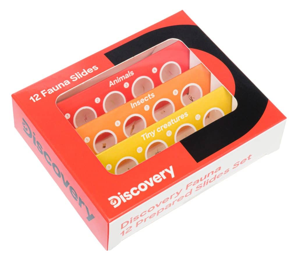 78224 discovery 12 prepared slides set 00
