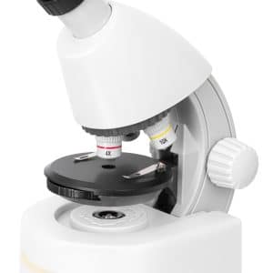 Microscopio Levenhuk Discovery Micro con libro
