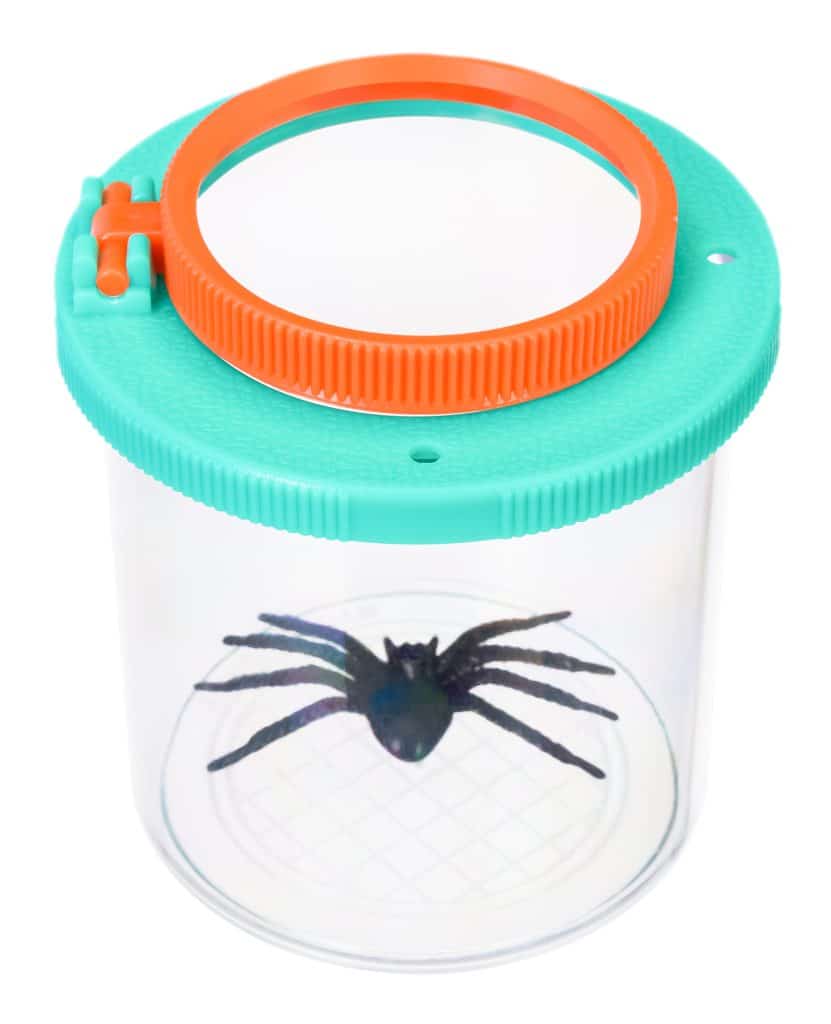 79650 discovery basics cn5 bug jar 00