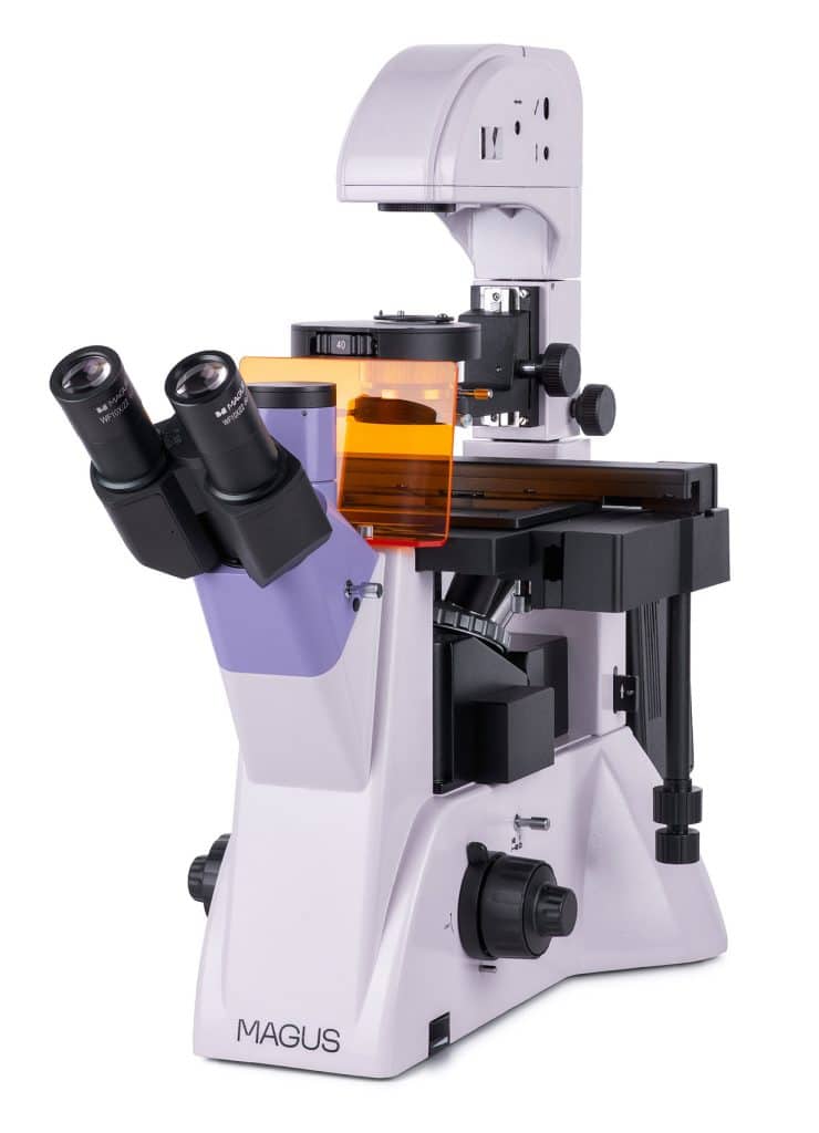 82908 magus lum v500 microscope 00