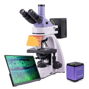 Microscopio de fluorescencia digital MAGUS Lum D400 LCD